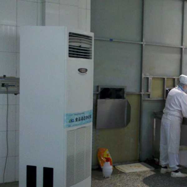 成都食品正负离子空气杀菌器